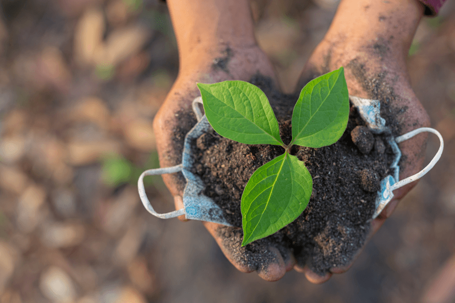 Imagem mostra uma pessoa com uma muda na mão. A imagem representa solo, plantação, agricultura familiar.