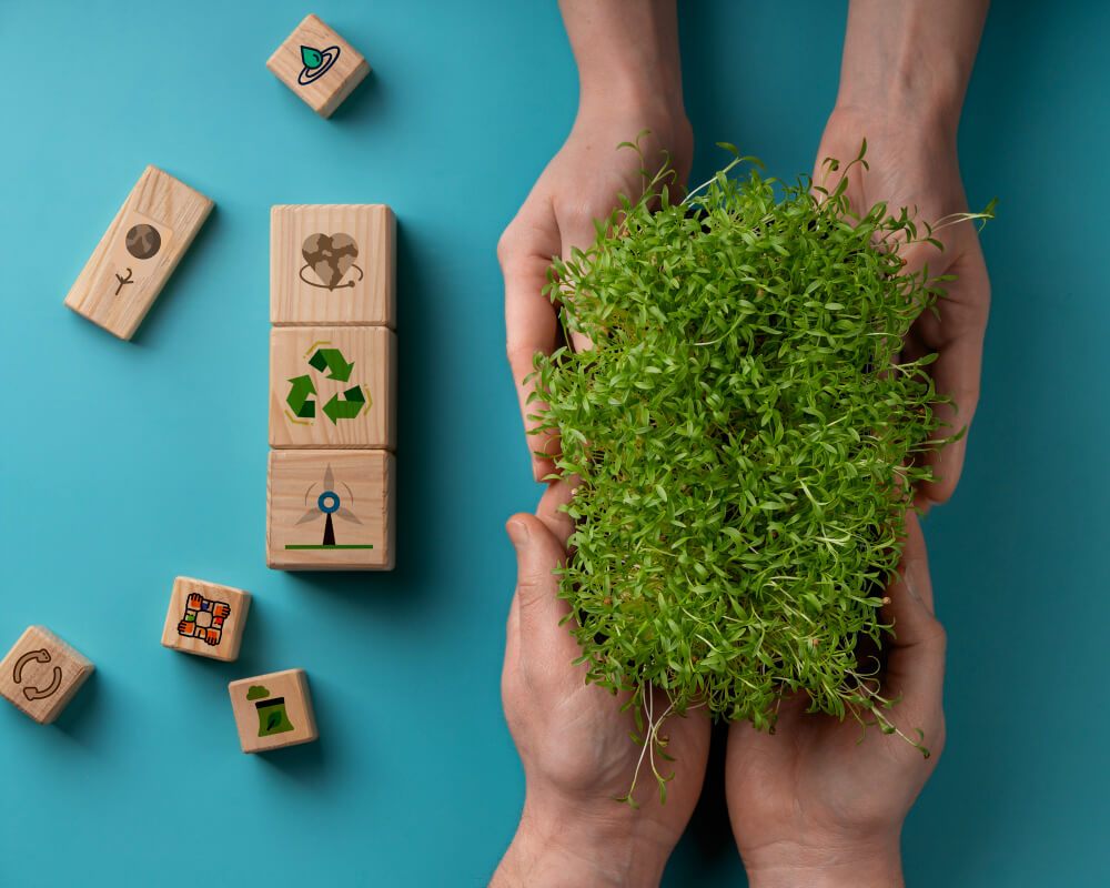 Imagem mostra mão segurando folhas e ao lado ícones que representam investimento, sustentabilidade, agroecologia