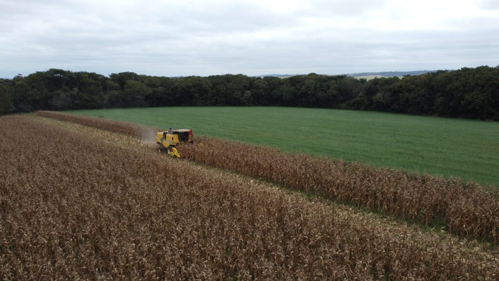 Imagem mostra solo fértil, com plantação verde e máquina colhendo