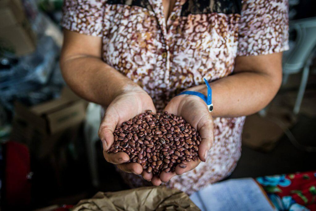 Imagem mostra mão de mulher segurando grãos de feijão