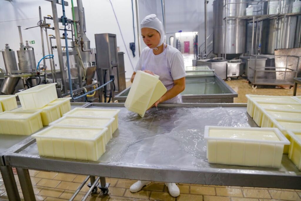 Imagem mostra mulher em fábrica de queijo. Ela está tirando o queijo do molde.