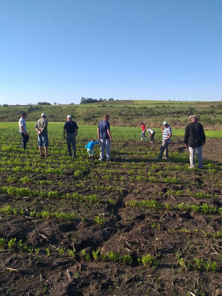 Agricultores reunidos em campo para investir em cooperativas agrícolas