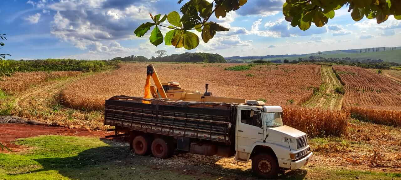Produção agrícola em cooperativa rural para investir com impacto no campo