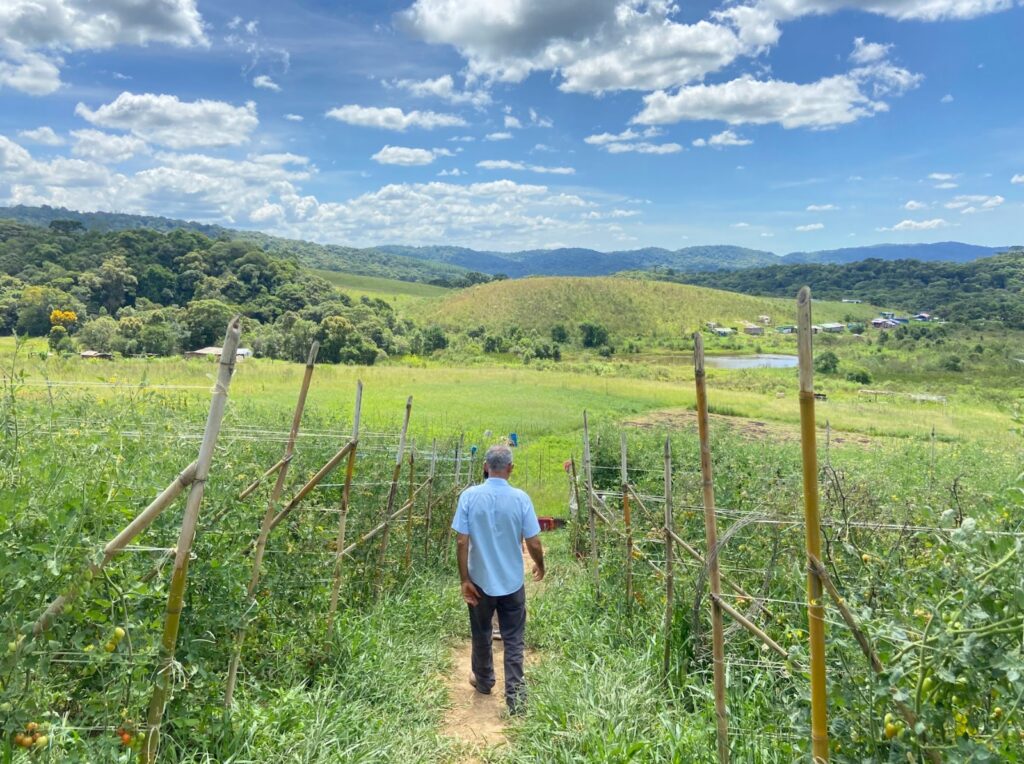 Agricultor em plantação ligada a cooperativas e sustentabilidade rural