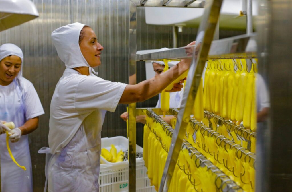 Produção alimentícia em cooperativa para investir com pouco dinheiro