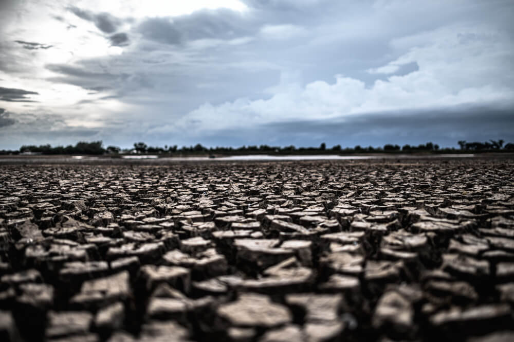 Solo ressecado evidenciando os impactos da emergência climática