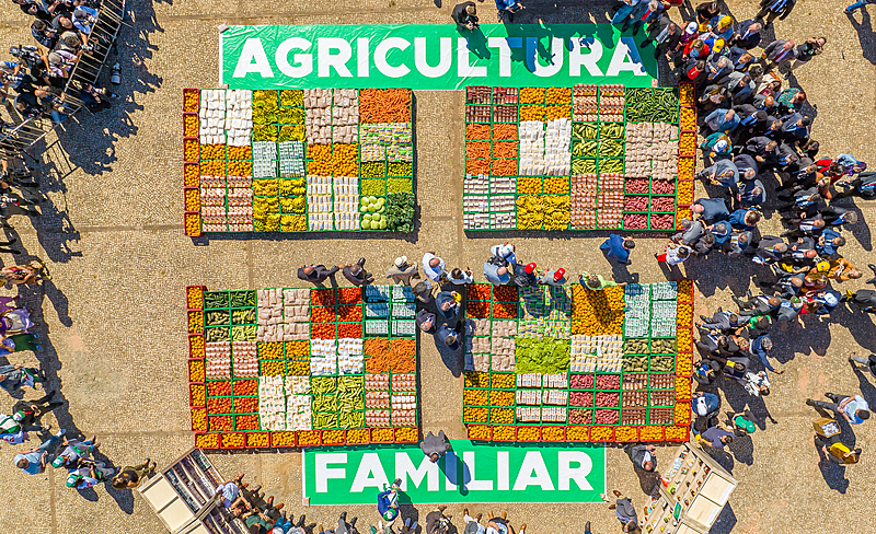 Agricultores e alimentos da agricultura familiar organizados coletivamente em cooperativa