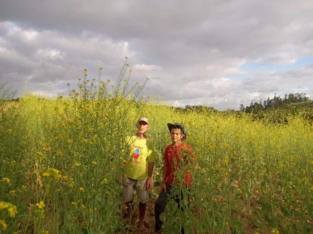 Produtores rurais em área de cultivo da agricultura familiar
