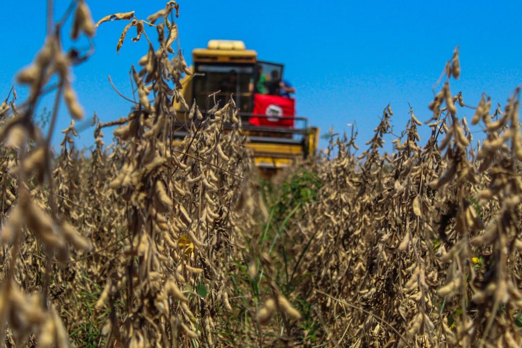 Colheita mecanizada de soja em área de produção agrícola